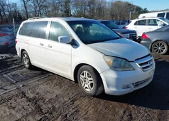 5FNRL38795B091943: 44116184