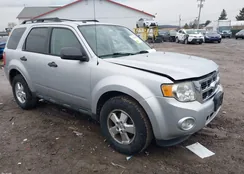 1FMCU9DG9BKB89358: 44116410