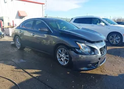 1N4AA5AP7DC836411: 44116435