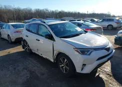 JTMWFREV3HD098866: 44117509