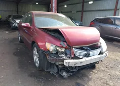 JH4KB16506C004003: 44117932