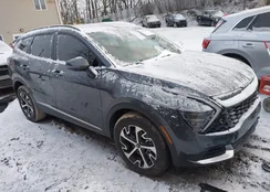 KNDPVCDGXS7203853: 44117997