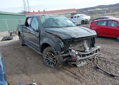 1FTEW1EP3LFC19715: 44117314