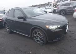 ZASPAKBN3R7D76302: 44117424