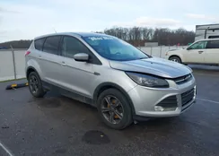 1FMCU9GX6GUC29712: 44118129