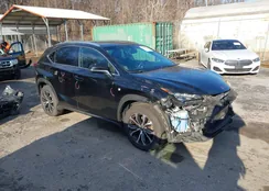 JTJBARBZ6G2064352: 44118133