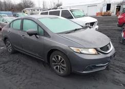 19XFB2F81FE207851: 44118200