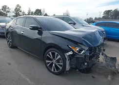 1N4AA6AP0JC365459: 44119534