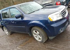 5FNYF4H47FB006078: 44120523