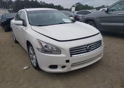 1N4AA5AP7CC817016: 44120723