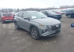 5NMJFCDE9RH395402: 44120110