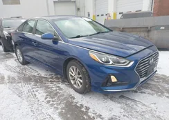 5NPE24AF0KH808963: 44120162