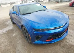 1G1FB1RXXG0154339: 44120458