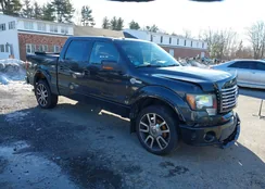 1FTFW1EV4AFA10614: 44121533