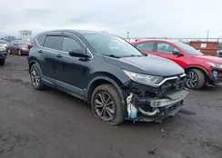 7FARW2H89ME004099: 44121756