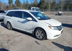 5FNRL5H61EB060558: 44121434