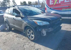 1FMCU9G99FUB76908: 44122825