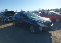 5NPEB4AC6BH131441: 44123052