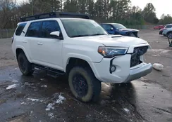 JTEBU5JR3H5464269: 44123528