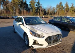 5NPE24AF8JH623669: 44123537