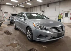 5NPE24AFXGH286429: 44123624