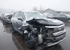 5XYP54HC1MG130584: 44123632