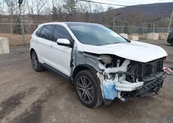 2FMPK3K94MBA11976: 44123859