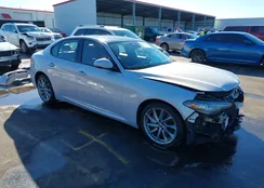 ZARFAMAN5P7671308: 44123128