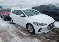 5NPD74LF1HH157510: 44123396