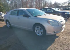 1G1ZB5EB1AF181125: 44124530