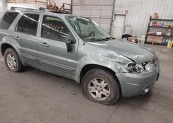 1FMCU94166KC95266: 44124697