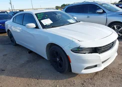 2C3CDXBG1MH628272: 44124829