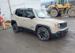 ZACCJBCT0FPB74034: 44124989