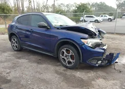 ZASPAJAN6M7D13599: 44124177