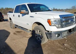 1FTFW1ET0DFD56713: 44124331