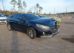 5NPE24AF9JH685761: 44124487