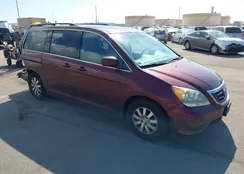 5FNRL3H63AB013126: 44125848