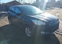 1FMCU9GX6GUB74761: 44126518