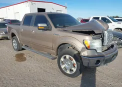 1FTFW1EF5BKD19624: 44126543