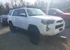 JTEBU5JR3J5555192: 44126359