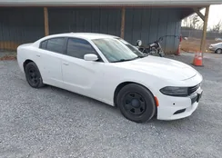 2C3CDXAT8MH528183: 44126432