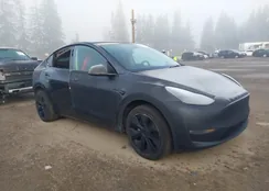 7SAYGDEE1SF256259: 44127431