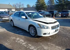 1N4AA5AP7EC492371: 44127480