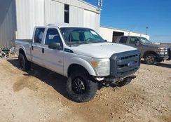 1FT7W2BT2EEB67986: 44128791