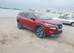 5N1BT3BA1PC919176: 44128911