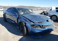 2C3CDXGJ8NH210913: 44128971