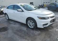 1G1ZD5ST8JF201779: 44128128