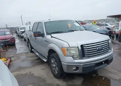 1FTFW1CFXBFD09005: 44128488