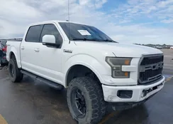 1FTEW1CF7HFB53994: 44129558