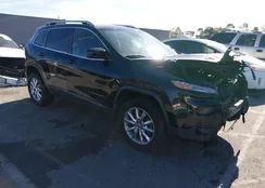 1C4PJMDS9EW290080: 44129795